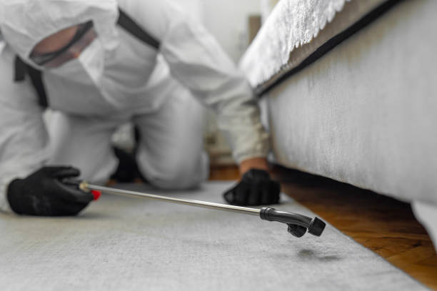 Professional Termite Control technician working in Clearwater, KS