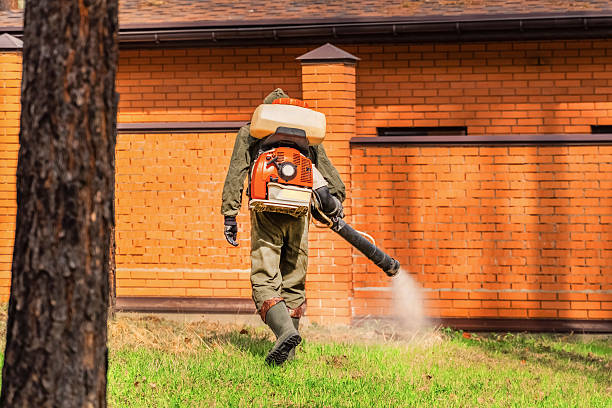 Trusted Termite Control service in Clearwater, KS - Nex Pest Control